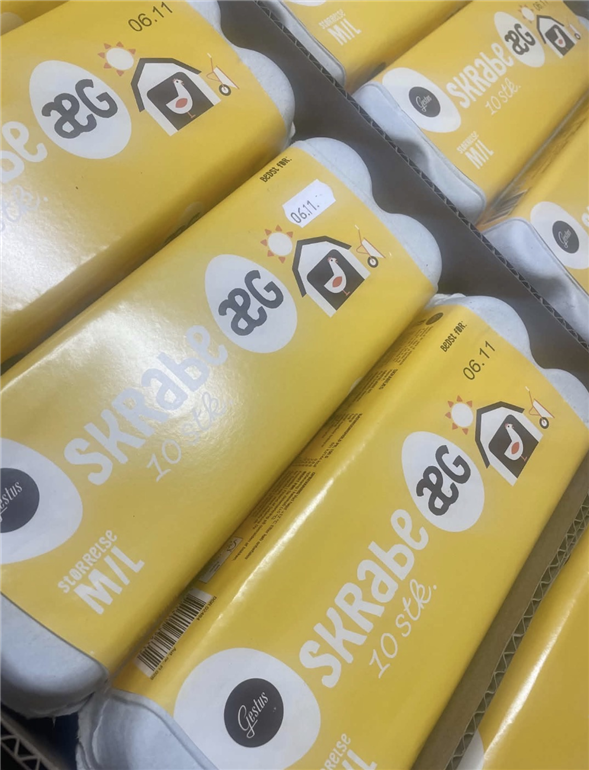 Æg