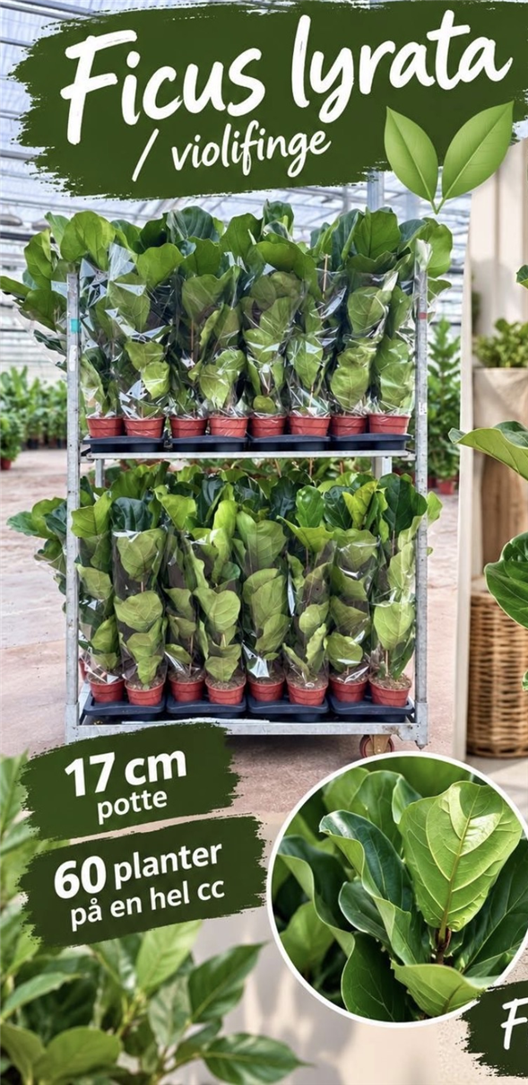 Grøn plante